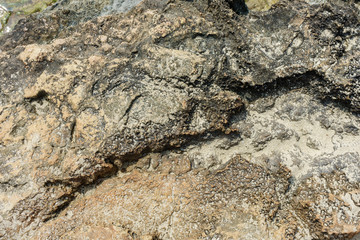 Rocky coast close up
