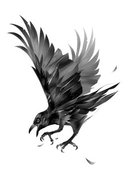 painted crow attacking a bird on a white background
