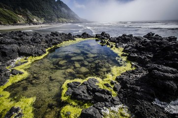 A tide pool along the Oregon coast, USA