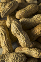 Dry Salted Roasted Shelled Peanuts