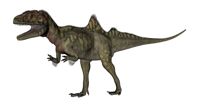 Concavenator dinosaur roaring - 3D render
