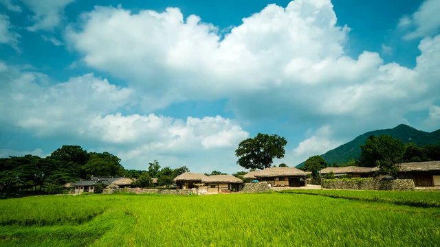 Taking Oeam Folk Village in Timelapse, a traditional Korean village with rice paddies on the rice fields.