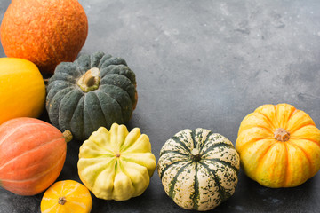 Assortment of pumpkins and gourds on the dark grey background, copy space for text, selective focus