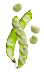 Bean pod isolated on white background