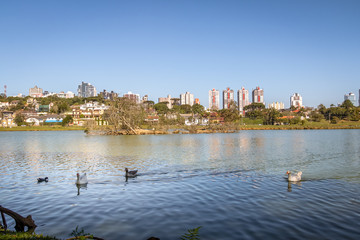 Lake view of Barigui Park with geese and city skyline - Curitiba, Parana, Brazil
