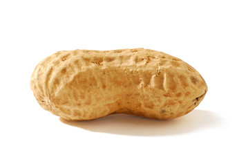 Peanut