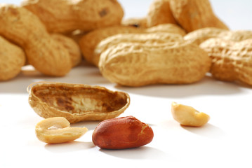 Peanut