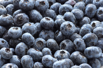 Blueberries