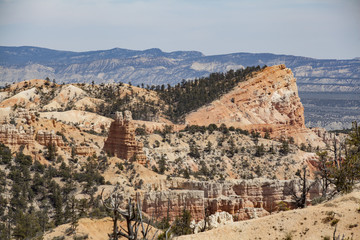 View of the prawl of the geological feature named Ship Rock in Bryce Canyon National Park