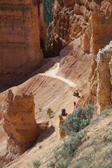 Tractor repairing the dirt trail through Bryce Canyon National Park valley