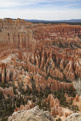 View of the magical golden hoodoos of Bryce Canyon National Park