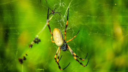 Exploring Sydney in Australia