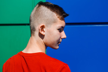 Fototapeta premium Portrait of a young boy . Pimples on the face , awkward age . A guy with a riot of hormones . on the background wall color