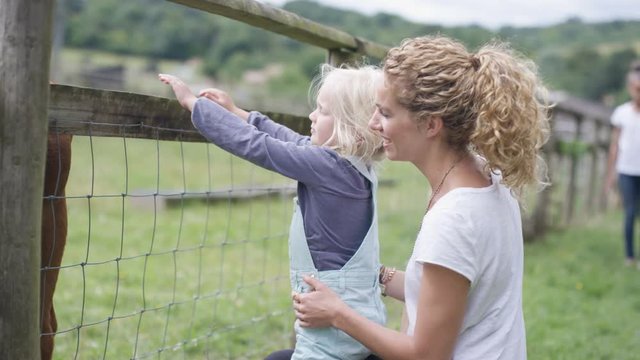  Families at community farm, mother & daughter petting cow through fence