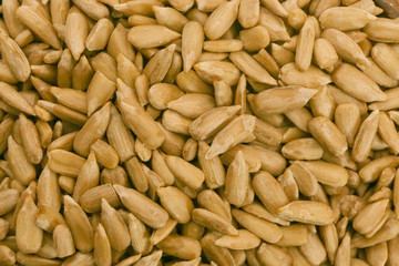 Sunflower seeds background