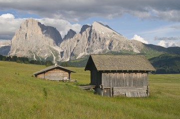 Fototapeta na wymiar Alpine pastures in front of Mt. Plattkofel and Mt. Sassolungo, Seiser Alm, Dolomites, South Tyrol, Italy, Europe
