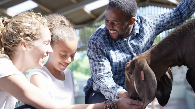  Happy mixed race family feeding the goats at community farm