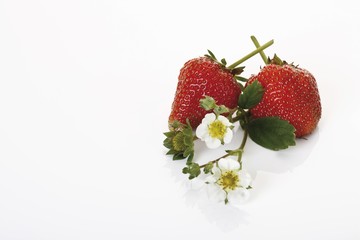 Strawberries with blossoms