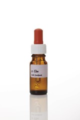 Bach flowers, drops in a stock bottle with a glass pipette, Elm