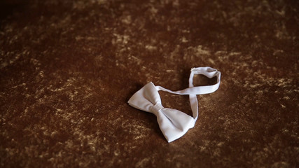 Groom's hand takes a bow tie. Preparing to wedding day. The man takes the bow-tie. Wedding...