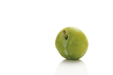 Greengages (Prunus italica)