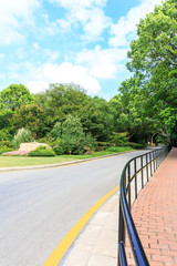 Country asphalt road through the green forest