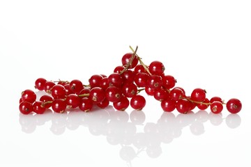 Red currants (Ribes)