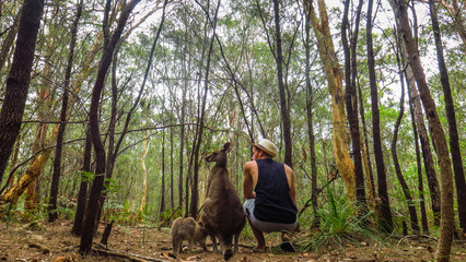 Hanging with kangaroos in Morisset Park, Australia
