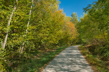 Fototapeta na wymiar Country road going through the autumn forest with leaves starting to turn yellow