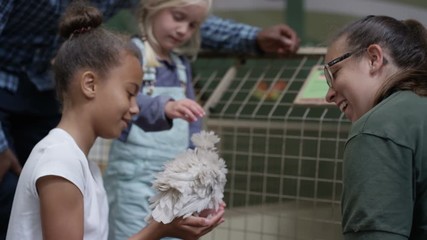 Man & little girls at community farm, petting chick & talking to keeper