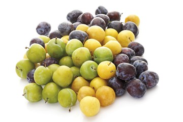 Greengages (Prunus italica), yellow plums and plums
