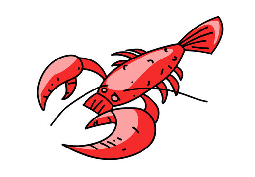 Lobster cartoon hand drawn image. Original colorful artwork, comic childish style drawing.