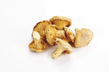 Small heap of chanterelle mushrooms