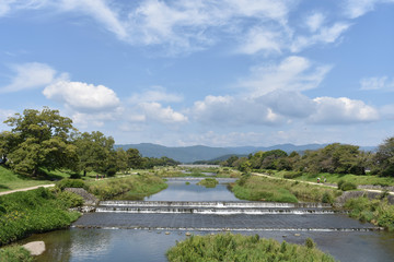 Fototapeta na wymiar 葵橋から北方向を見る