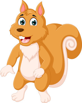 funny squirrel cartoon standing with smile