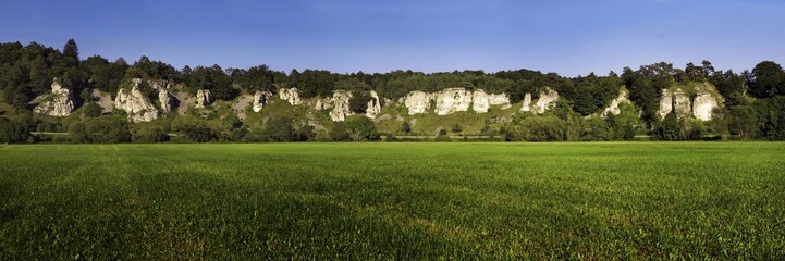 Rock formation twelve apostles with a green meadow, Altmuehltal nature park, near Solhofen,...