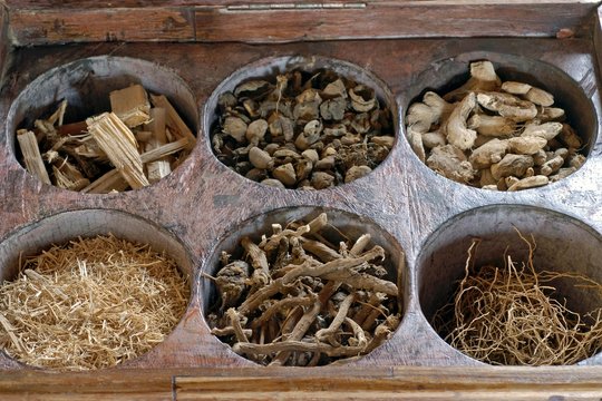 Ayurvedic herbs and woods, Kollengode, Vengunad, Kerala, India, Asia