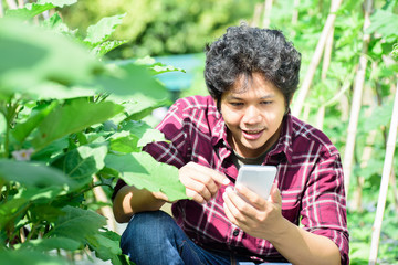 Naklejka na ściany i meble Asian young farmer using smartphone for management in agricultural field