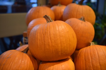 pumpkin