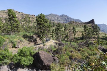Mountain chain and a country road, El Pie de la Cuesta, Roque Bentaiga, Gran Canaria, Canary Islands, Spain, Europe, PublicGround, Europe