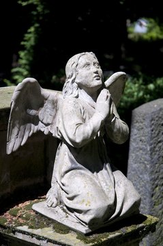 Angel, Statue, Alter Friedhof cemetery, Bonn, Rhineland, North Rhine-Westphalia, Germany, Europe