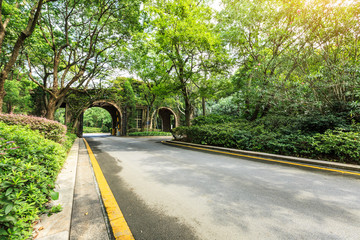 Country asphalt road through the green forest