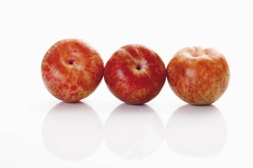 Pluots, hybrids of plum and apricot