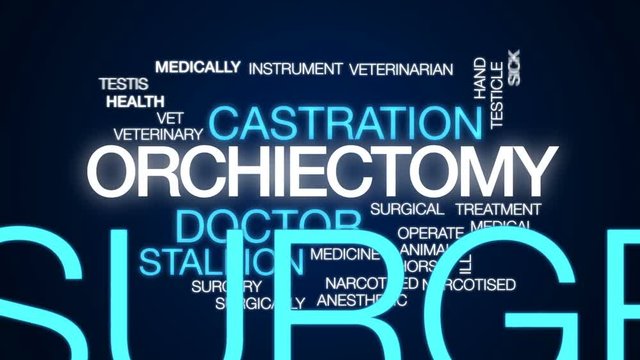 Orchiectomy animated word cloud, text design animation.