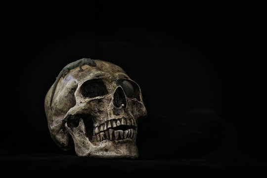 Skull image for halloween