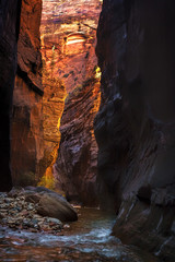 Virgin Narrows in Utah's Zion National Park