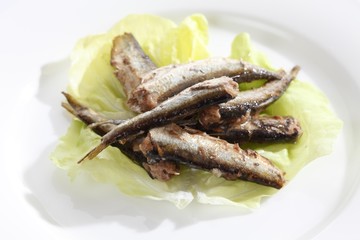 Russian sprats from the tin can on a plate