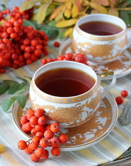 Black tea and rowanberry
