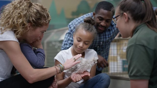  Parents & children at community farm, petting fluffy chick