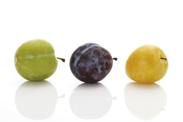 Greengages (Prunus italica), yellow plums and plums